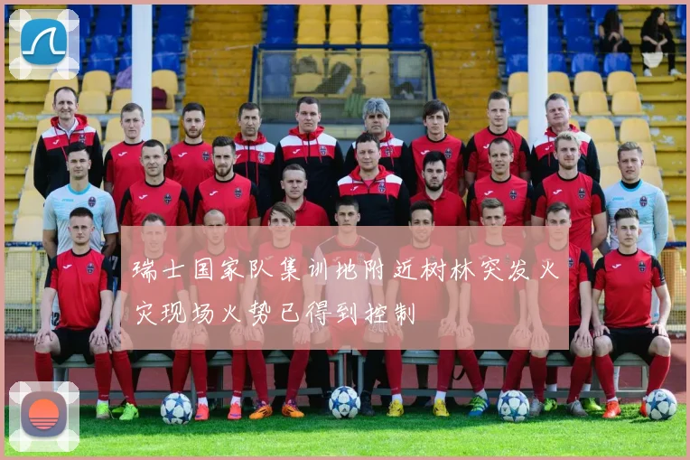 瑞士国家队集训地附近树林突发火灾现场火势已得到控制